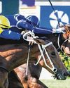 Classy Perth juvenile duo looking to settle 1-1 score with face-off in Karrakatta Plate Classy Perth juvenile duo looking to settle 1-1 score with face-off in Karrakatta Plate