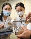 Traditional Chinese medicine scene gets infusion of new blood Traditional Chinese medicine scene gets infusion of new blood