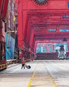 Trump's Tariffs Are Starting to Hammer Chinese Exporters Trump's Tariffs Are Starting to Hammer Chinese Exporters70