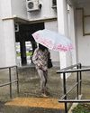 Thundery showers expected on some afternoons in first half of May Thundery showers expected on some afternoons in first half of May58