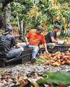 With the future of food in flux, Singapore-listed agribusinesses have room to expand With the future of food in flux, Singapore-listed agribusinesses have room to expand33