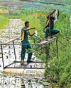Climate change - which dries out the soil, reduces water resources or raises sea levels - is expected to increase the proportion of such "salty" land from 24 per cent to 32 per cent of the world's surface area by the end of the century, the FAO warns. Climate change - which dries out the soil, reduces water resources or raises sea levels - is expected to increase the proportion of such "salty" land from 24 per cent to 32 per cent of the world's surface area by the end of the century, the FAO warns.28