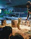Kids can get close to animals, pick up life skills at ZooSchool Kids can get close to animals, pick up life skills at ZooSchool30