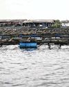 Aquaculture operations in East Johor Strait to be expanded from 2026 Aquaculture operations in East Johor Strait to be expanded from 202627