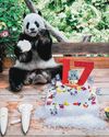 Fans in Malaysia gather at Zoo Negara to bid farewell to 2 beloved pandas Fans in Malaysia gather at Zoo Negara to bid farewell to 2 beloved pandas12