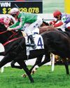 Atzeni Bidding For First HK G1 Atop Bundle Award Atzeni Bidding For First HK G1 Atop Bundle Award54