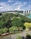 Study proposes retaining sliver of forest earmarked for housing Study proposes retaining sliver of forest earmarked for housing0