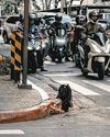 Woman Crawls Out of Storm Drain in Macabre Manila Street Scene25