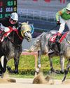 Raon Forest Gets Up in KNN Cup Raon Forest Gets Up in KNN Cup57