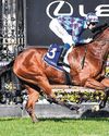 Jenni's Meadow All Set For G1 Queensland Oaks Jenni's Meadow All Set For G1 Queensland Oaks55