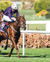 Coolmore Banks On Delacroix At Epsom Coolmore Banks On Delacroix At Epsom