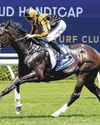 Ford For Thought In Sydney Pools Race Ford For Thought In Sydney Pools Race46