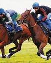 French Oaks Under Italy-US Raid48