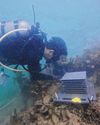 Small island states should lead, not just take part in, ocean research: Vivian Small island states should lead, not just take part in, ocean research: Vivian