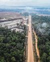 Spore-Indonesia Green Deals Must Deliver Real Gains for Lasting Success Spore-Indonesia Green Deals Must Deliver Real Gains for Lasting Success10
