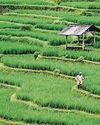 For best travel bargains, think like a contrarian For best travel bargains, think like a contrarian70