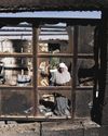 3 Palestinians Killed After Israeli Settlers Attack Town in West Bank23