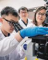 Singapore-made gel allows lab testing of drugs on live samples of advanced abdominal cancer Singapore-made gel allows lab testing of drugs on live samples of advanced abdominal cancer29