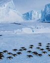 The water around Antarctica is getting saltier — and that is of global concern The water around Antarctica is getting saltier — and that is of global concern58