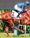Tribalist Can Win Pools Race Tribalist Can Win Pools Race49