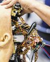 In the age of AI, it's our human traits that will help us thrive In the age of AI, it's our human traits that will help us thrive40