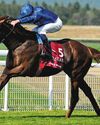 Godolphin's Late Say With Notable Speech Godolphin's Late Say With Notable Speech48