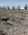 Farm worker dies after US immigration raid in California Farm worker dies after US immigration raid in California21