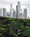 Singapore financial sector growth doubles in 2024: MAS Singapore financial sector growth doubles in 2024: MAS0