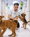 Animal shelters chart their own paths on welfare and care20