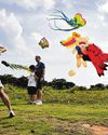 Kite-flying. There is much that this simple pastime can offer Kite-flying. There is much that this simple pastime can offer54