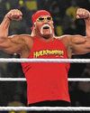 Obituary: Hulk Hogan Helped Turn Pro Wrestling Into a Billion-Dollar Spectacle Obituary: Hulk Hogan Helped Turn Pro Wrestling Into a Billion-Dollar Spectacle78