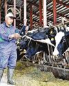 More Livestock in Japan Receive Telehealth Care Due to Vet Shortage More Livestock in Japan Receive Telehealth Care Due to Vet Shortage13