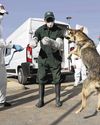 World Cup hosts Morocco dogged by culling charges World Cup hosts Morocco dogged by culling charges61