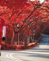 Painting the town (infra)red Painting the town (infra)red42