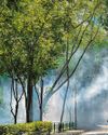 Singapore at 60 — A Sustainability Journey and the Way Forward83