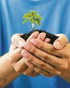 How Singapore's SMEs Are Shaping a Sustainable Future for Asean91
