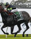 Private Eye Melbourne-Bound After Missile Stakes Scrapped55