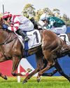 Sky's The Limit For Ryan's Gun 3YO37