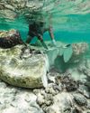 Coral Fossil in Maldives Shows Sea Level Rise Sped Up Far Earlier Than Believed The Straits Times