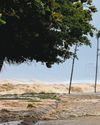 Trees felled, homes flooded as Typhoon Kajiki batters Vietnam The Straits Times