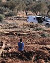 Israeli bulldozers uproot hundreds of olive trees in West Bank village The Straits Times