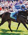 Venetian Sun Gives Jockey Clifford Lee First G1 Win The Straits Times