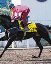 Chancheng Glory Seoul-Bound The Straits Times
