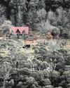 Australia Police Search Bush For Gunman After Two Officers Killed The Straits Times