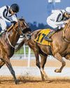 Colts and Fillies Battle for Big Prize Money in Saudi Arabia The Straits Times
