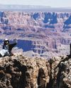New $320 Visa Fee for Visitors Risks Deepening US Travel Slump The Straits Times