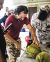 The Straits Times