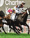 Emotional Victory For Baraqiel In Moir Stakes The Straits Times
