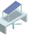Study finds greenery can grow under solar panels The Straits Times