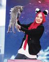 Cat groomer wins third place with dragon cut64